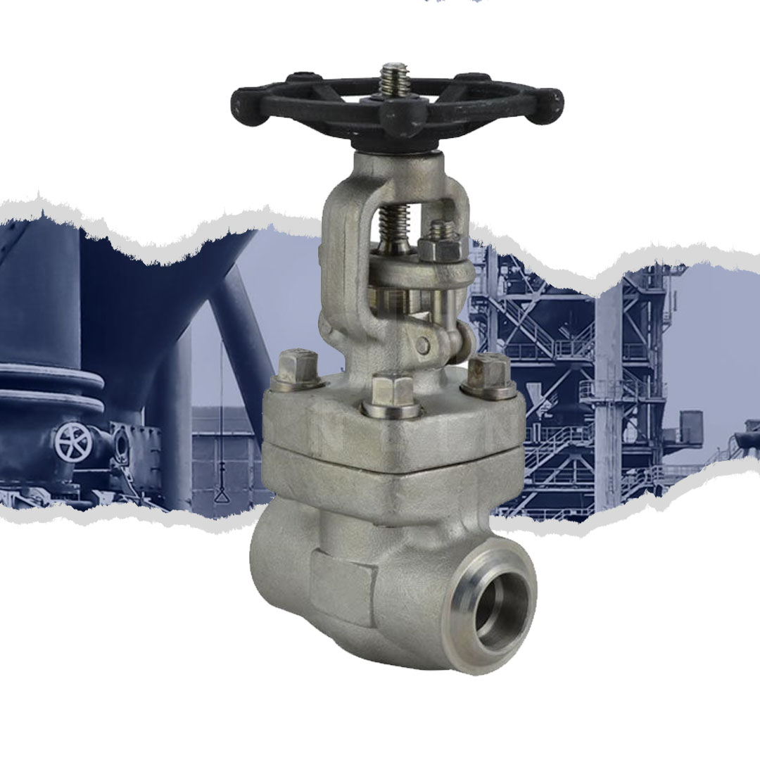 Class 800 Forged Stainless Steel 316L Globe Valve Class 800 Forged Stainless Steel 316L Globe Valve